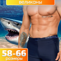 Боксеры пляжные с кармашком великаны купальные PESAIL