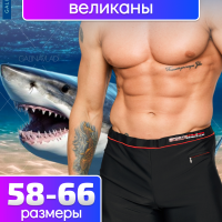 Боксеры пляжные с кармашком великаны PESAIL