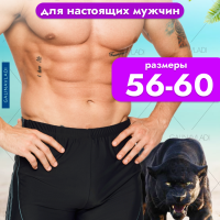 Боксеры шорты плавательные пляжные PESAIL