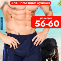 Плавки боксеры пляжные большие размеры PESAIL