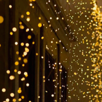 MAXI HOME Светодиодная Гирлянда Роса нить на елку 200 LED 20м